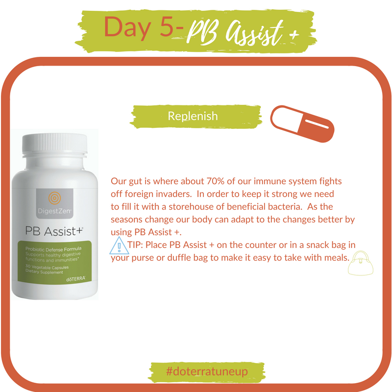 day 5 tune up your body PB Assist