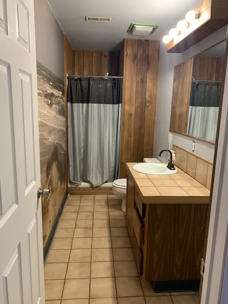 Bathroom remodel Before 