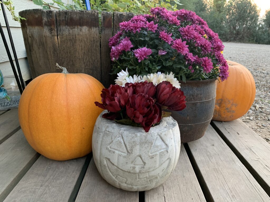 DIY Concrete Pumpkin on porch DIY Concrete Pumpkin these are so fun and easy to make! #diy #diyhalloween #diyfalldecor #diyconcrete pumpkin www.innovativehealthfitness.com