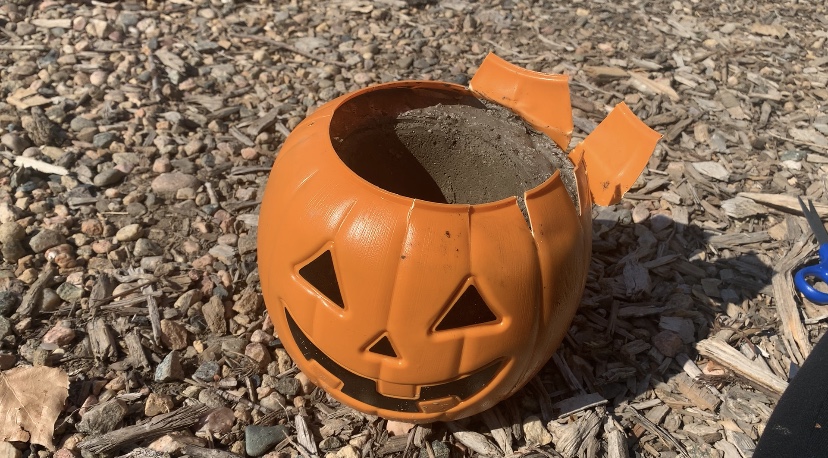 Cutting the plastic pumpkin from the hardened concrete

DIY Concrete Pumpkin these are so fun and easy to make! #diy #diyhalloween #diyfalldecor #diyconcrete pumpkin www.innovativehealthfitness.com