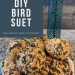 Make this easy DIY bird suet Make this easy DIY bird suet https://livesimplywithkristin.com/diy-bird-suet-recipe/
