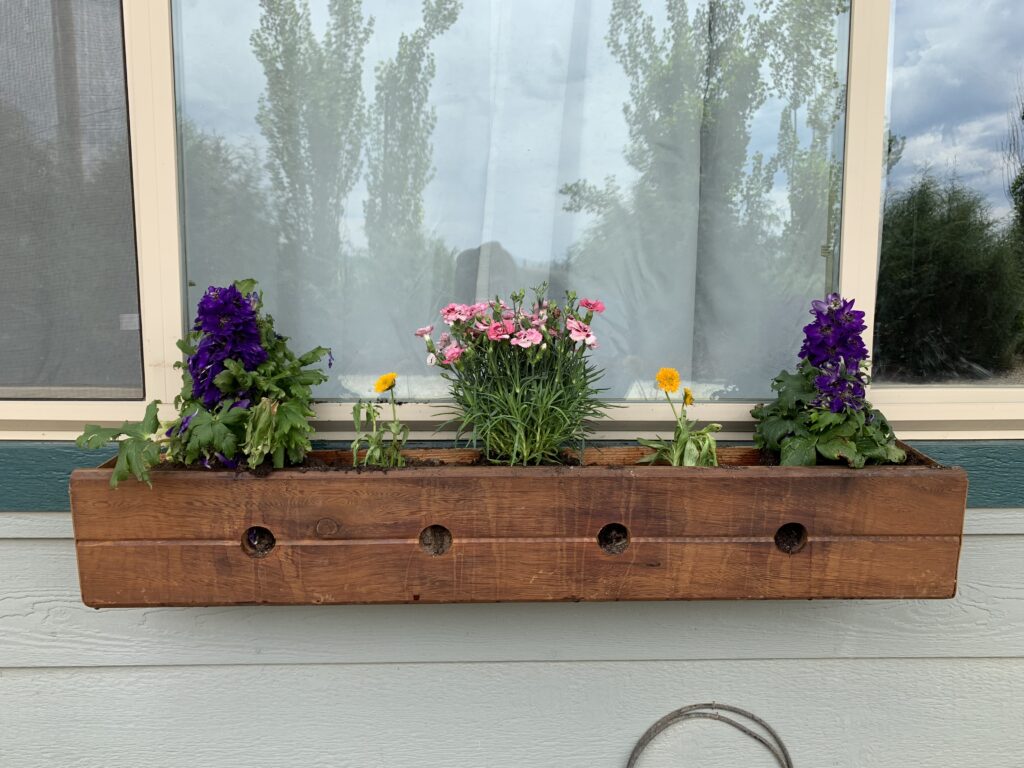 Today I have a fun DIY project! I am making a flower box under my bedroom window! I am using materials I have around the house plus I purchased some clearance flowers! I love to buy clearance flowers! They are cheap and they usually just need a bit of water and some trimming! =)  www.innovativehealthfitness.com