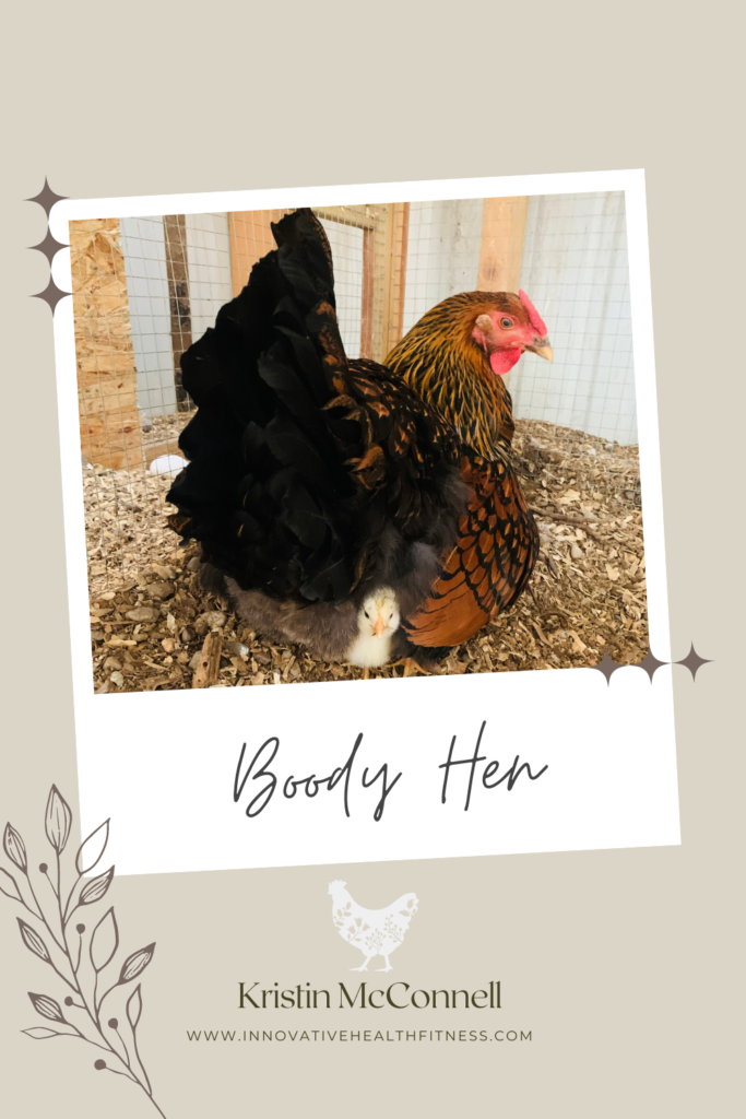Broody Hen and her Chickshttps://livesimplywithkristin.com/broody-hen-and-her-chicks/