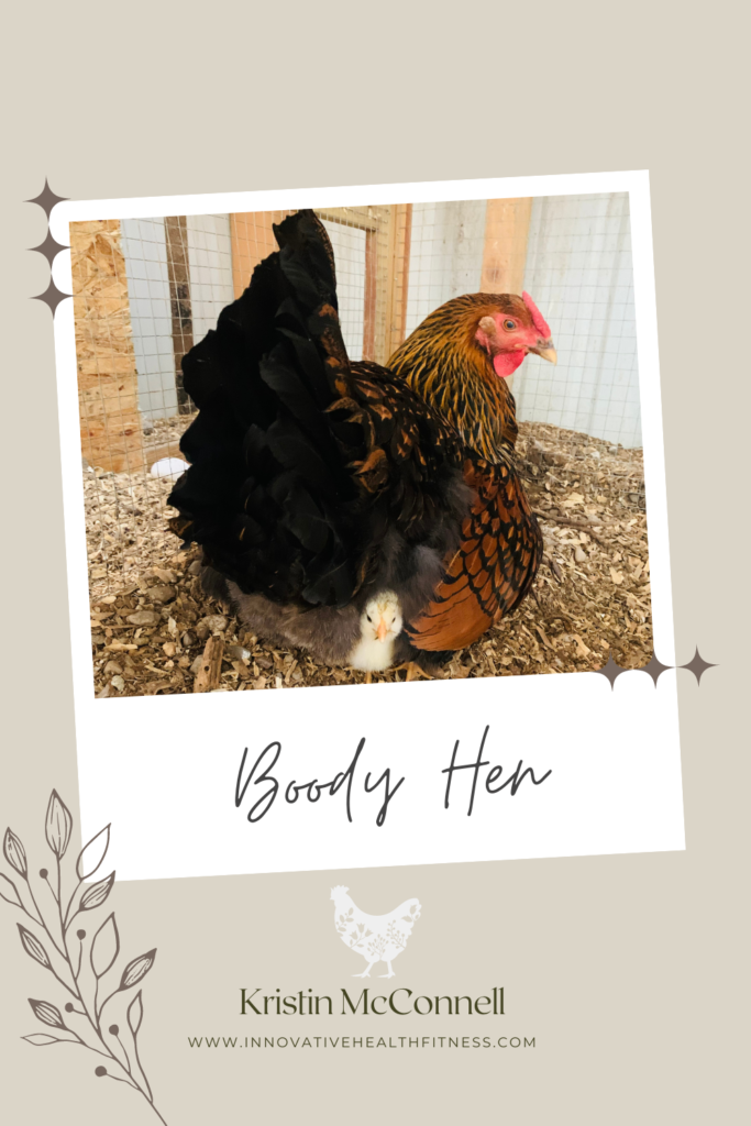 Broody Hen and her chicks! 
www.innovativehealthfitness.com