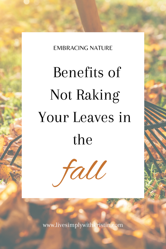 Fall leaves are often seen as a nuisance to homeowners. However, there are actually many benefits to leaving them on the ground. Not raking your leaves can help to nourish the soil, protect wildlife and provide natural mulch for your lawn. By embracing nature and allowing your leaves to decompose naturally, you can create a healthier, more sustainable environment for your home and community.