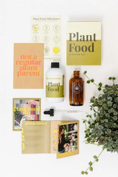 https://happyhappyhouseplant.com/livesimplywithkristin